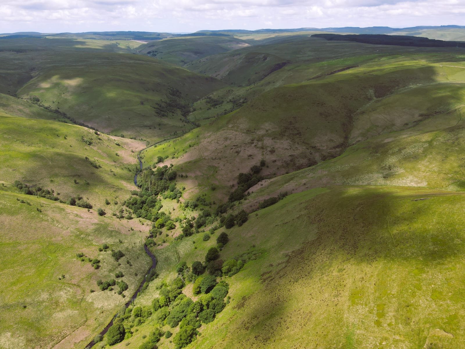 Talk: Rewilding in Cwm Doethïe